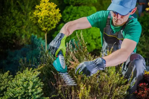 landscaping services Three Oaks
